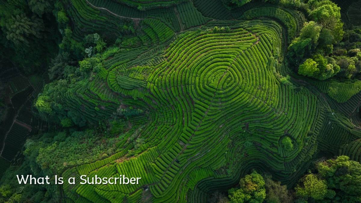 What Is a Subscriber