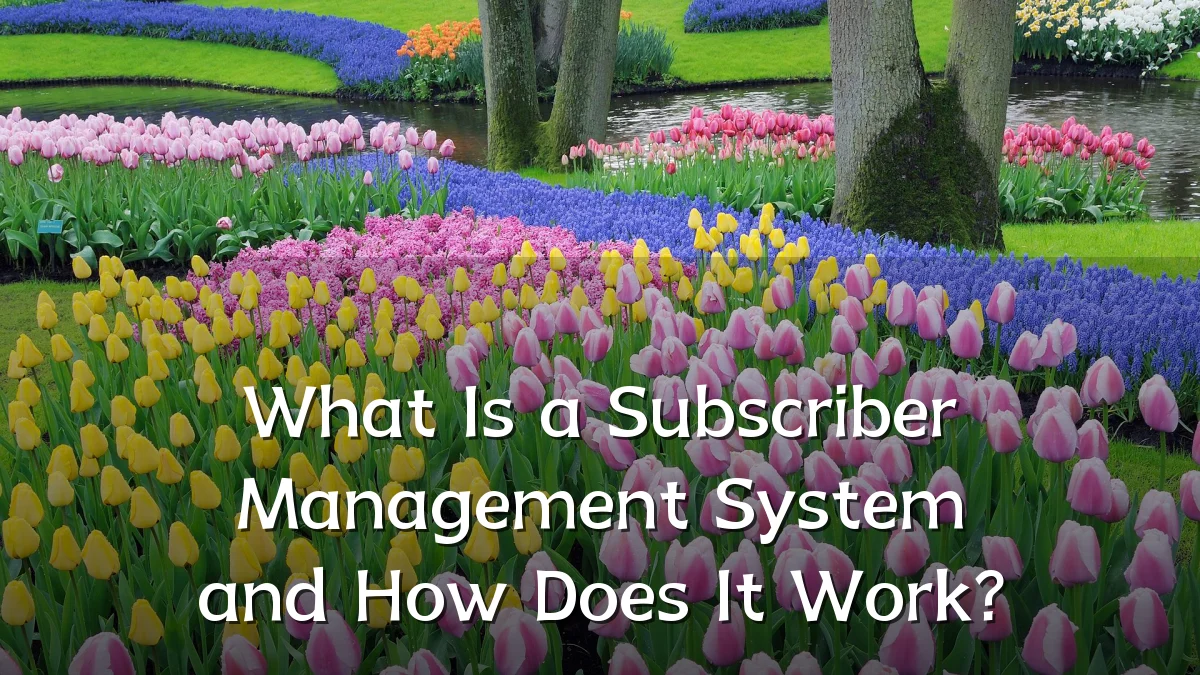 What Is a Subscriber Management System and How Does It Work?
