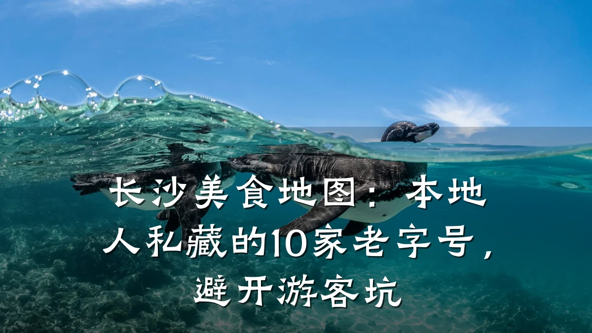 长沙美食地图:本地人私藏的10家老字号,避开游客坑