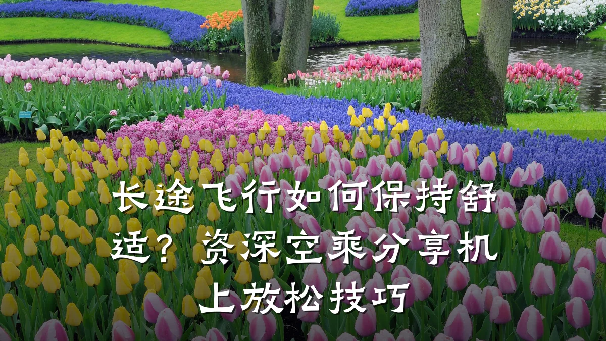 长途飞行如何保持舒适?资深空乘分享机上放松技巧