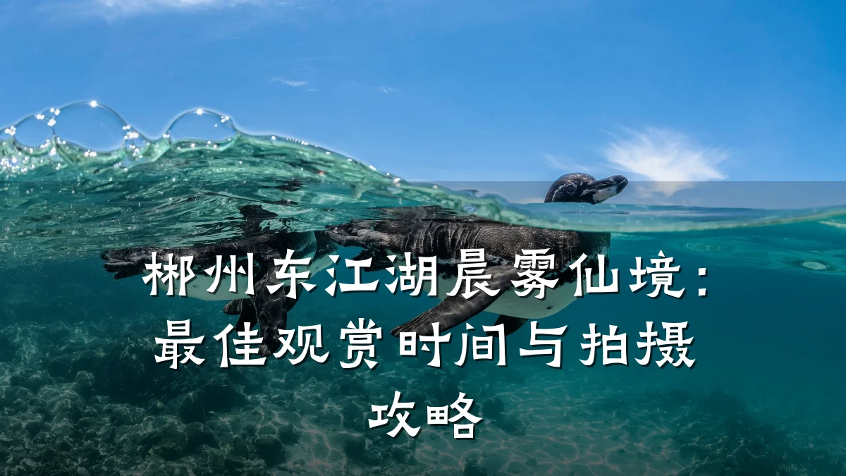 郴州东江湖晨雾仙境：最佳观赏时间与拍摄攻略