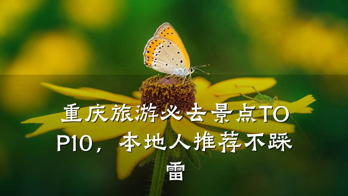 重庆旅游必去景点TOP10,本地人推荐不踩雷
