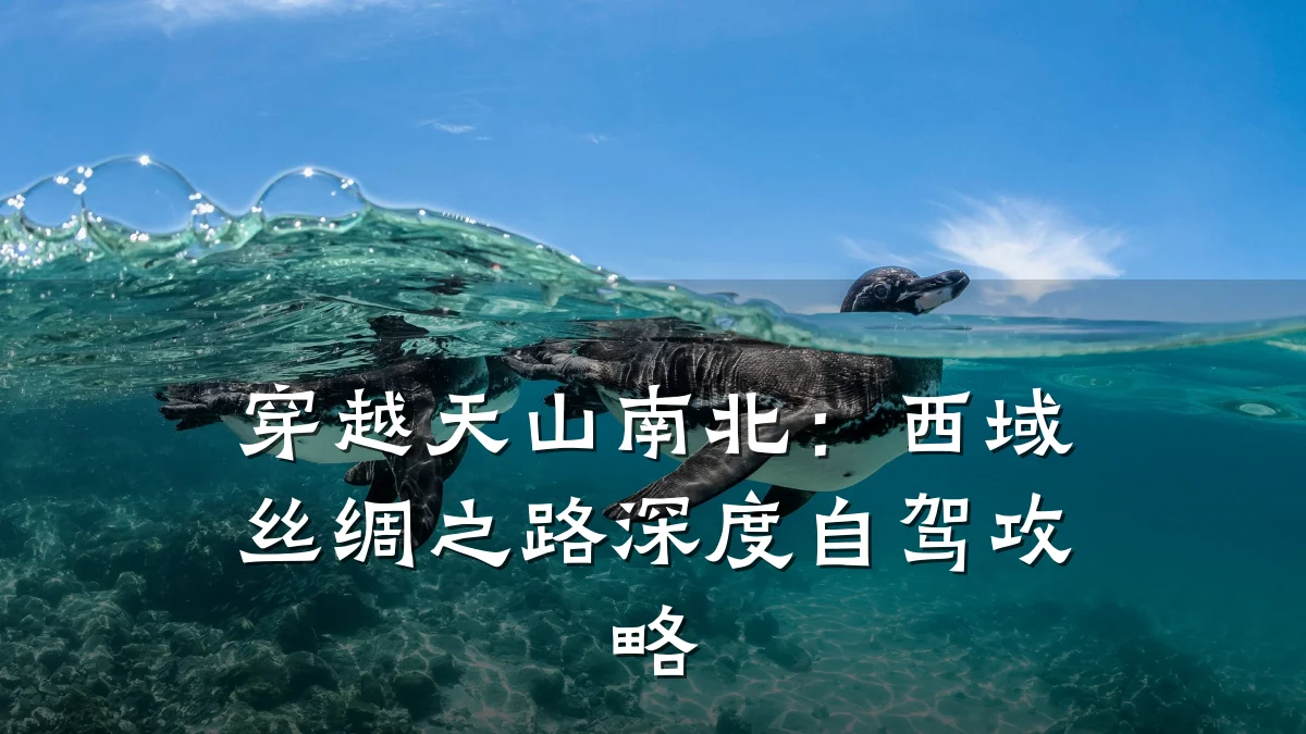 穿越天山南北：西域丝绸之路深度自驾攻略