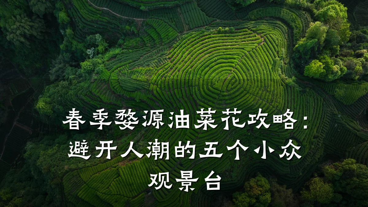 春季婺源油菜花攻略:避开人潮的五个小众观景台