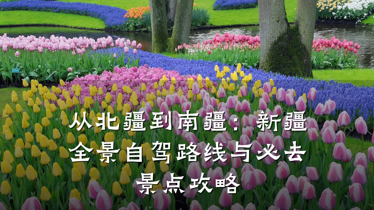 从北疆到南疆:新疆全景自驾路线与必去景点攻略