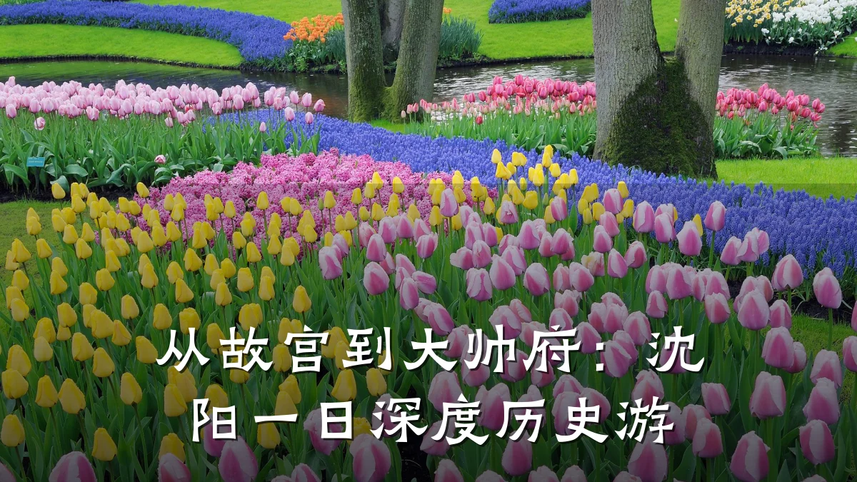 从故宫到大帅府：沈阳一日深度历史游