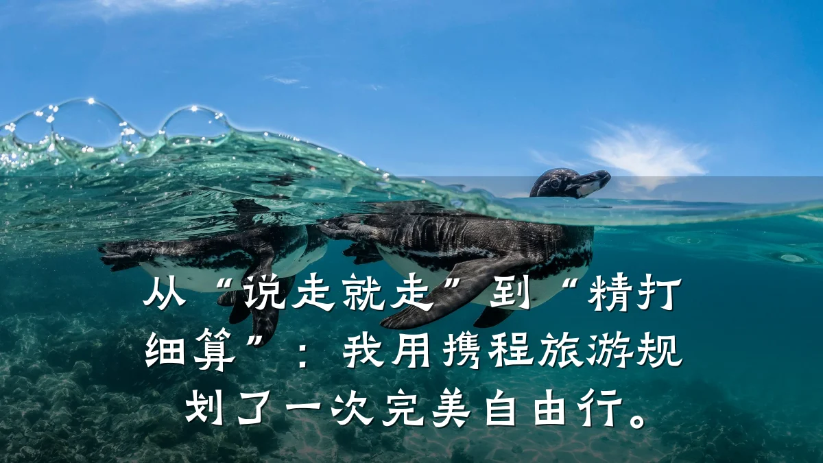 从“说走就走”到“精打细算”：我用携程旅游规划了一次完美自由行。