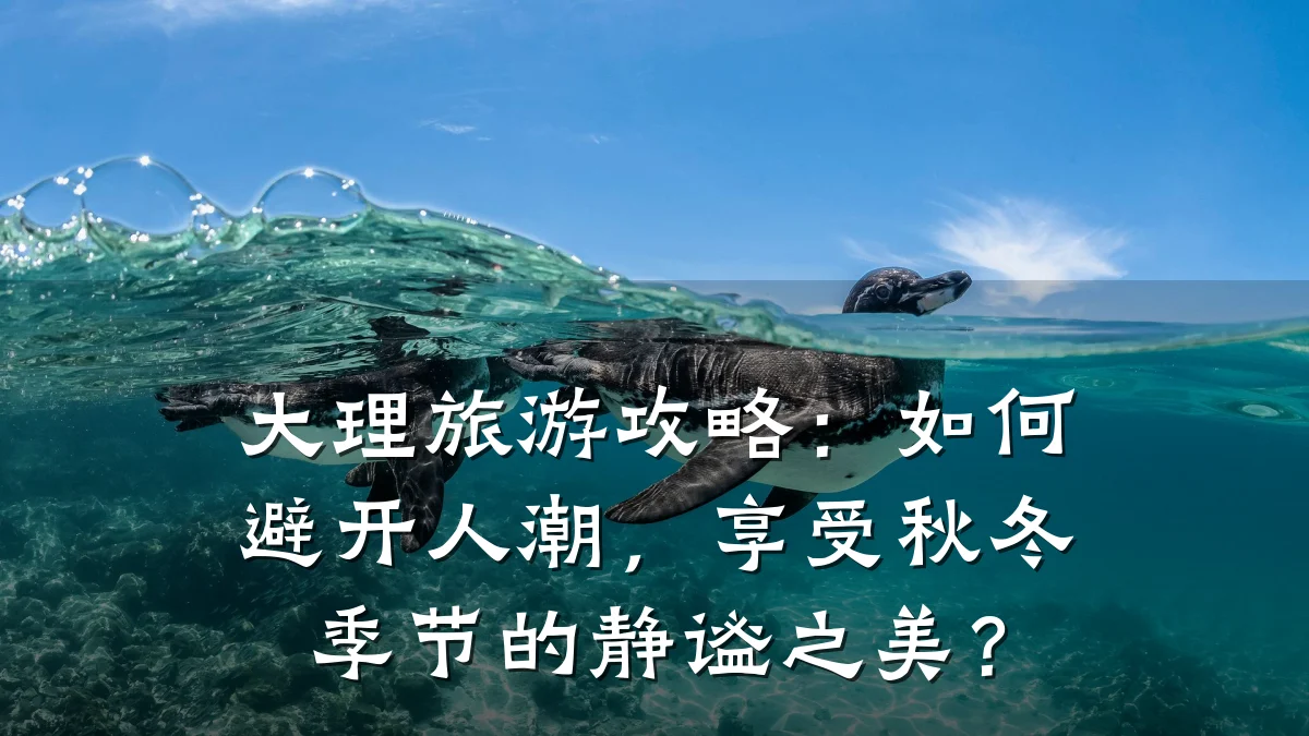 大理旅游攻略：如何避开人潮，享受秋冬季节的静谧之美？