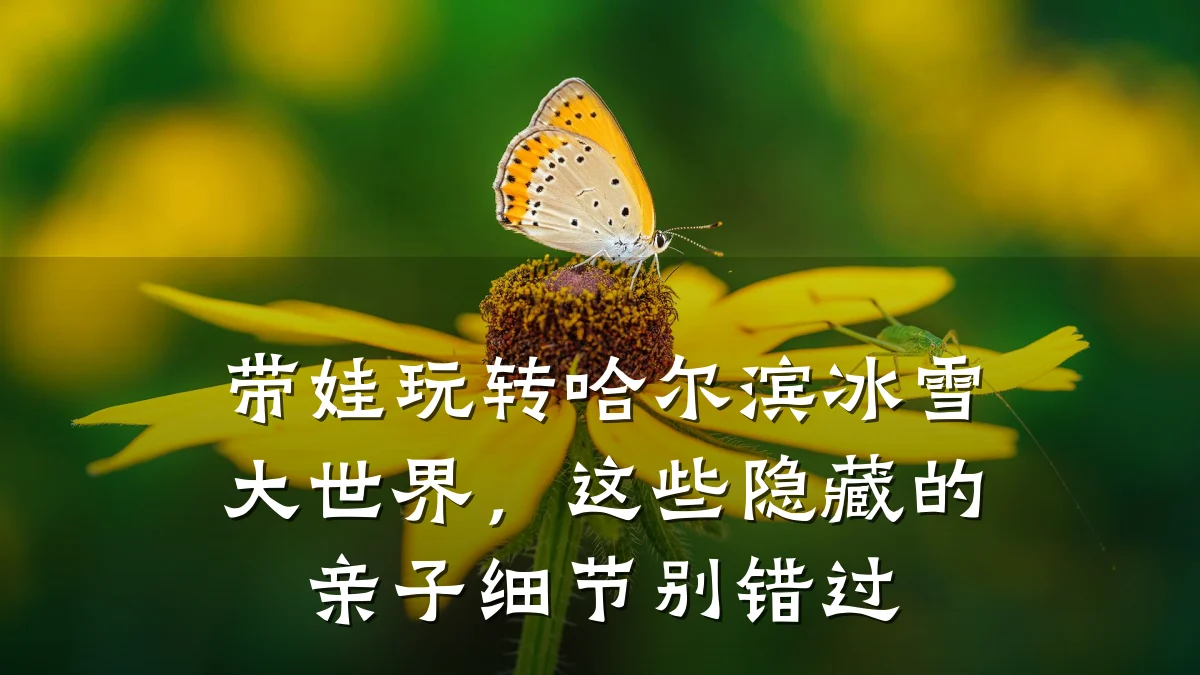 带娃玩转哈尔滨冰雪大世界，这些隐藏的亲子细节别错过