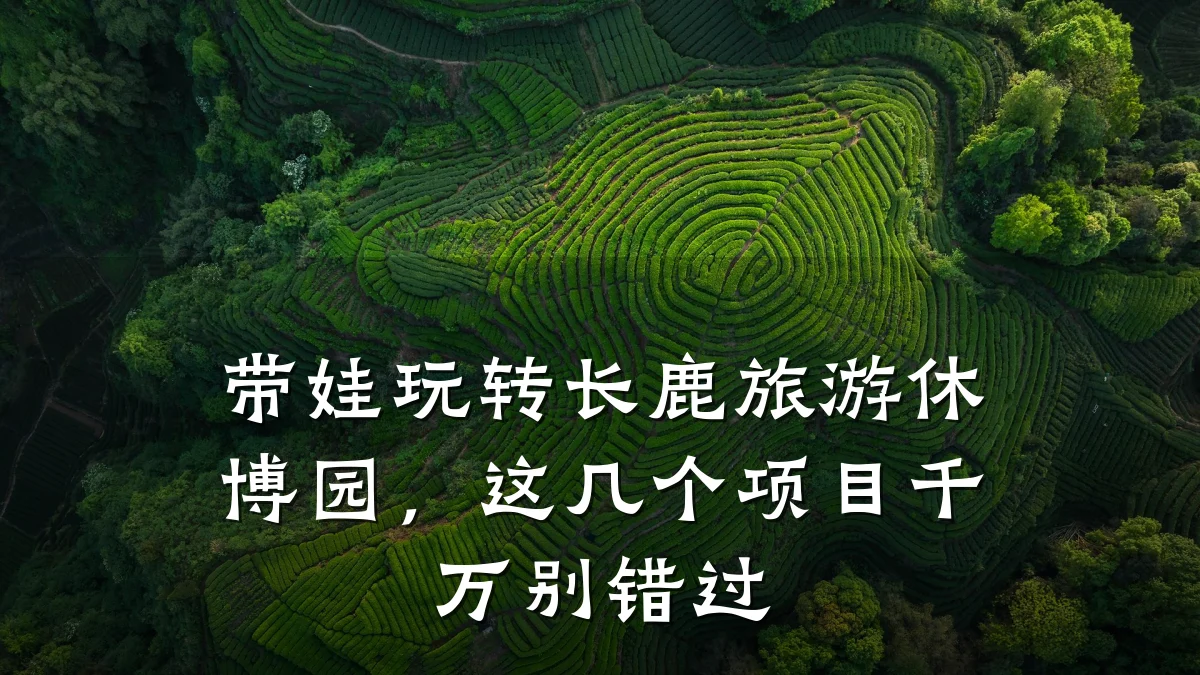 带娃玩转长鹿旅游休博园,这几个项目千万别错过
