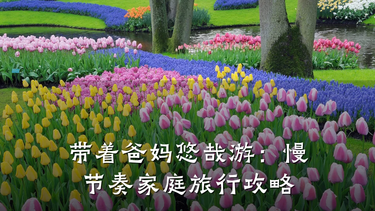 带着爸妈悠哉游:慢节奏家庭旅行攻略