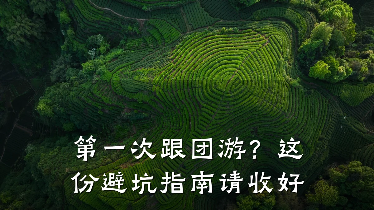 第一次跟团游?这份避坑指南请收好