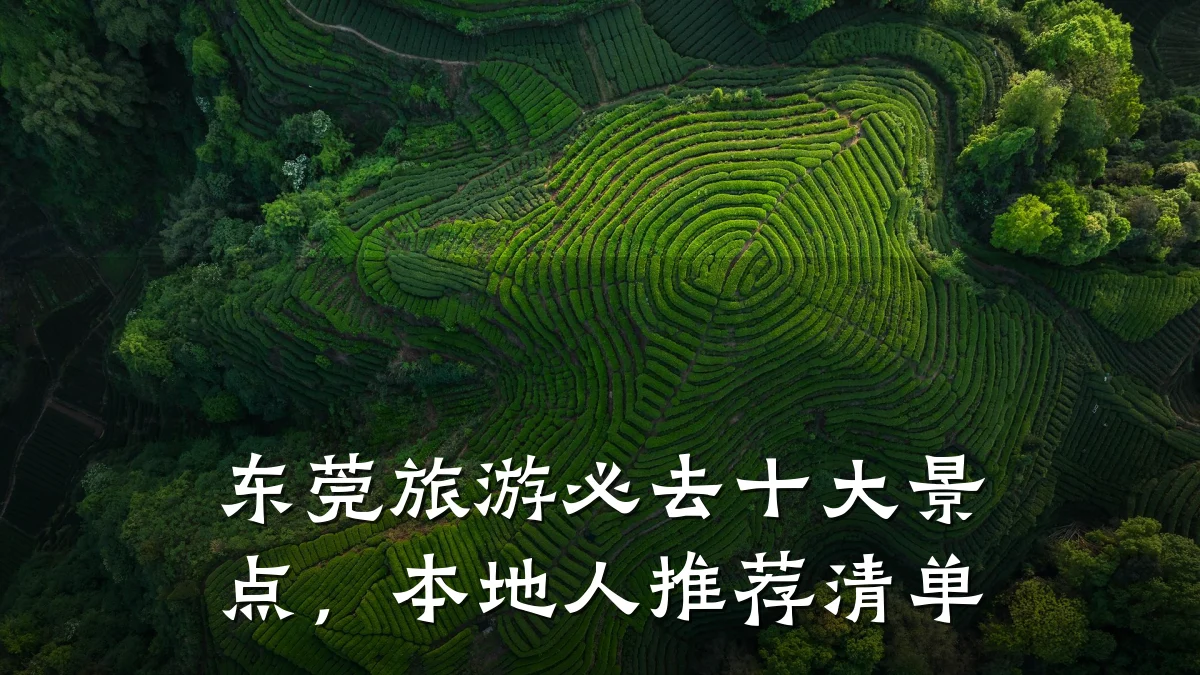 东莞旅游必去十大景点,本地人推荐清单