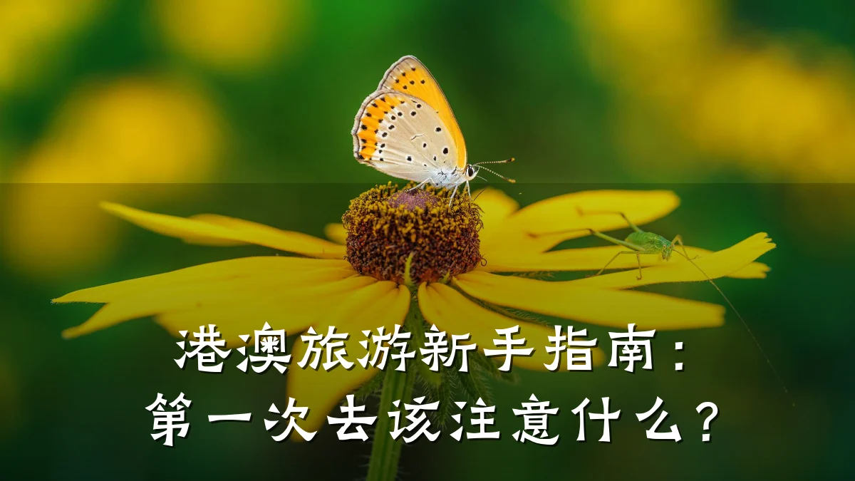 港澳旅游新手指南：第一次去该注意什么？