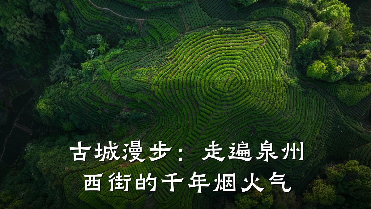 古城漫步：走遍泉州西街的千年烟火气