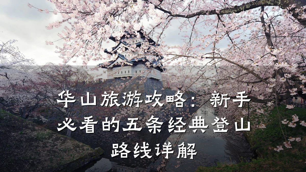 华山旅游攻略：新手必看的五条经典登山路线详解