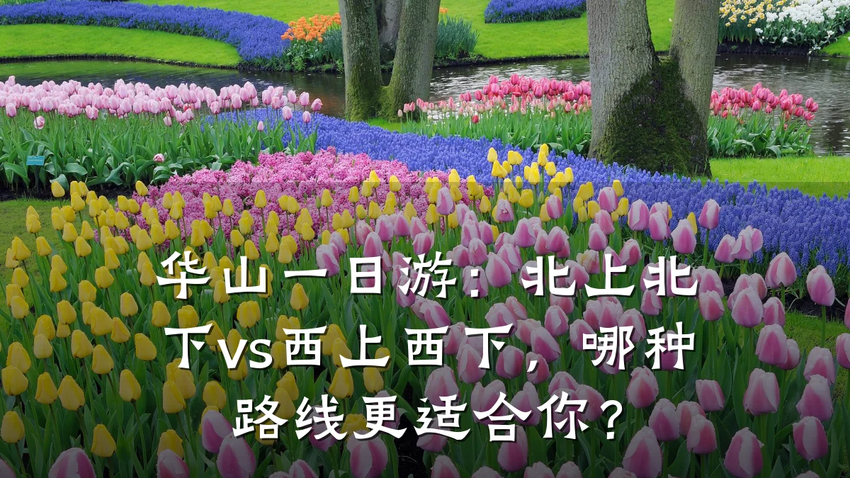 华山一日游：北上北下vs西上西下，哪种路线更适合你？