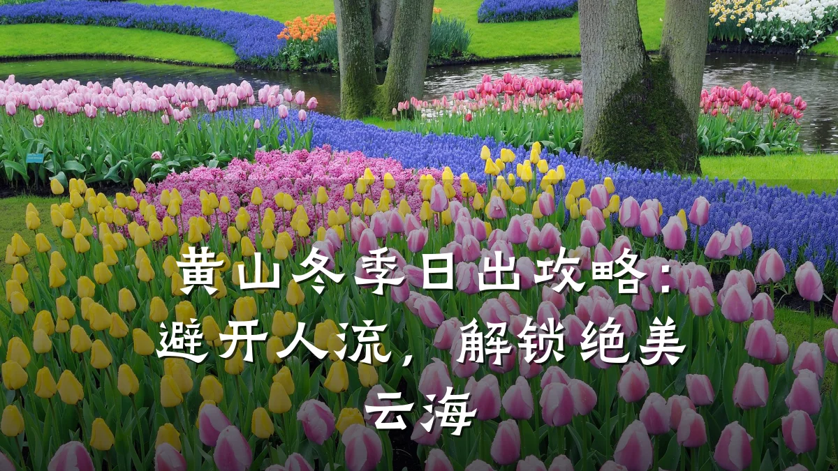 黄山冬季日出攻略：避开人流，解锁绝美云海