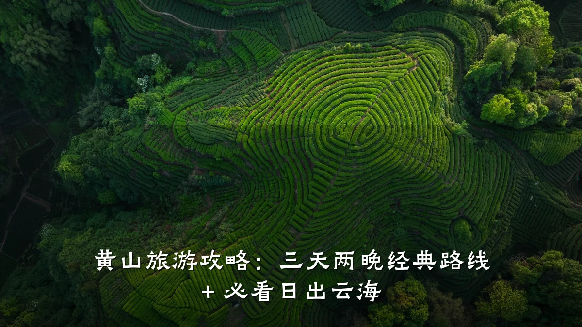 黄山旅游攻略:三天两晚经典路线 + 必看日出云海