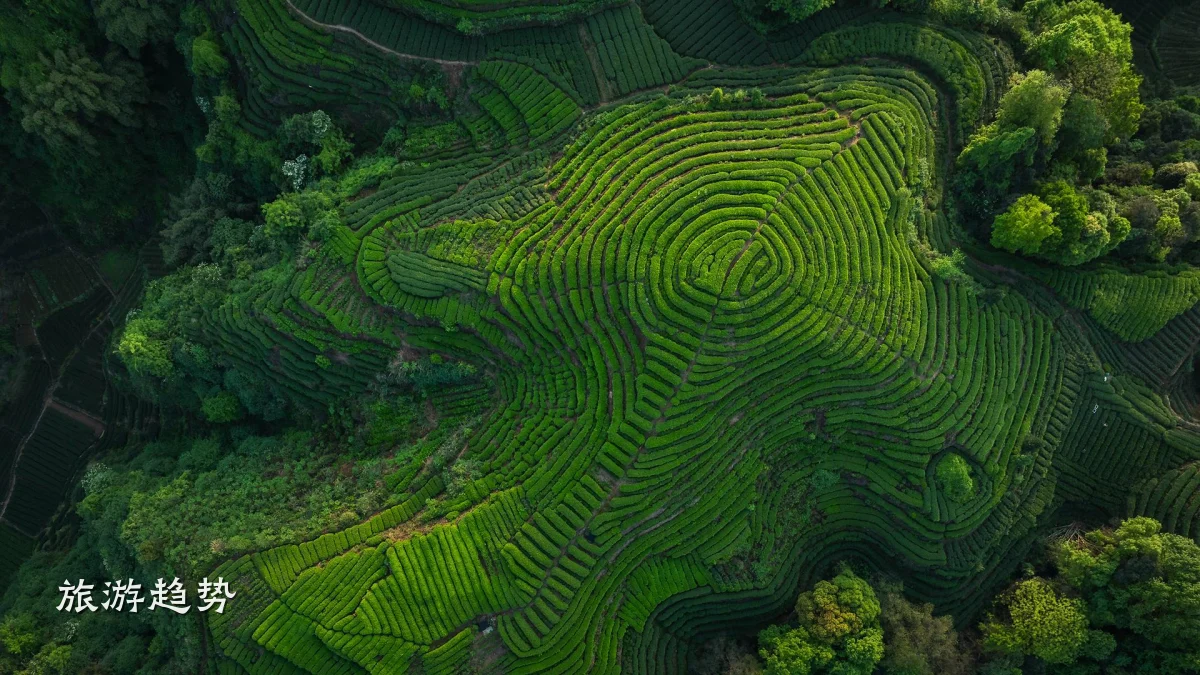 旅游趋势