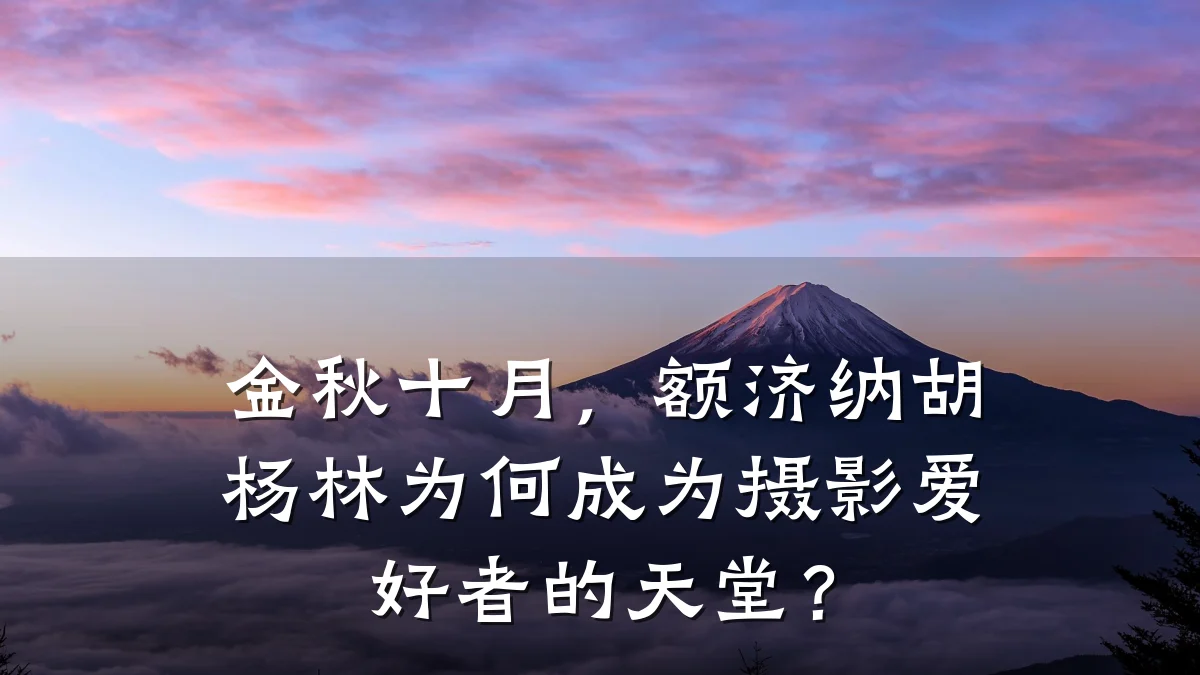 金秋十月,额济纳胡杨林为何成为摄影爱好者的天堂?