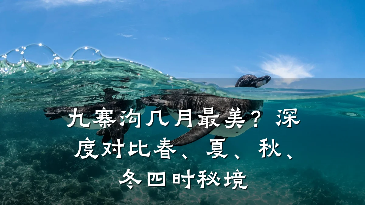 九寨沟几月最美？深度对比春、夏、秋、冬四时秘境