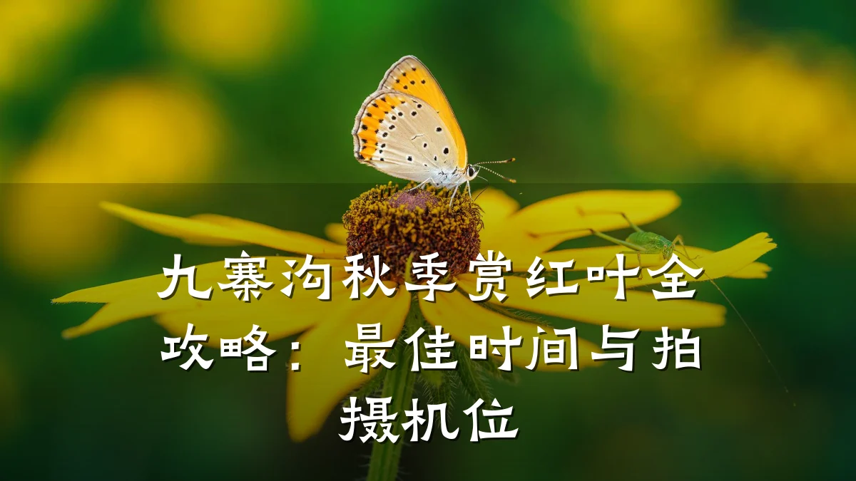 九寨沟秋季赏红叶全攻略:最佳时间与拍摄机位