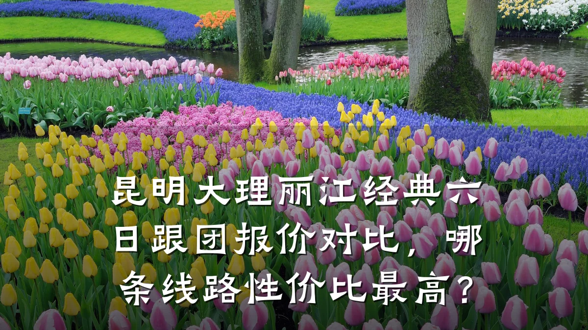 昆明大理丽江经典六日跟团报价对比,哪条线路性价比最高?