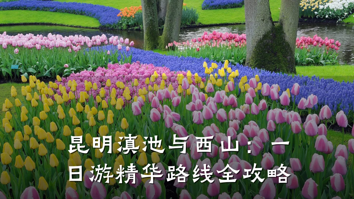 昆明滇池与西山:一日游精华路线全攻略