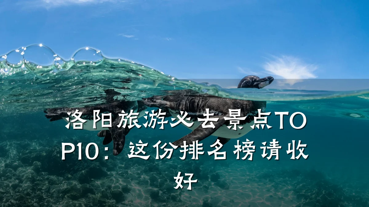 洛阳旅游必去景点TOP10:这份排名榜请收好