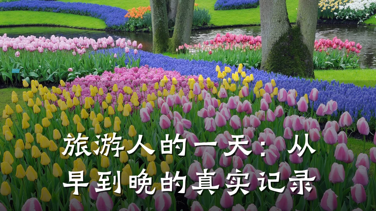旅游人的一天:从早到晚的真实记录