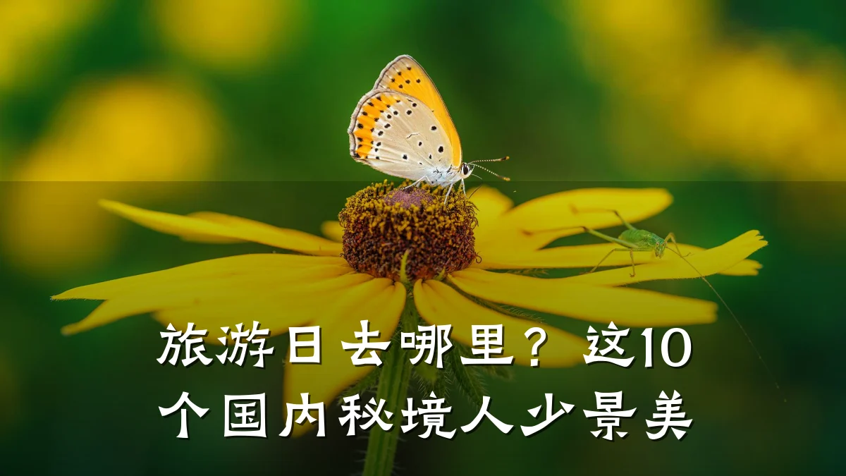 旅游日去哪里?这10个国内秘境人少景美