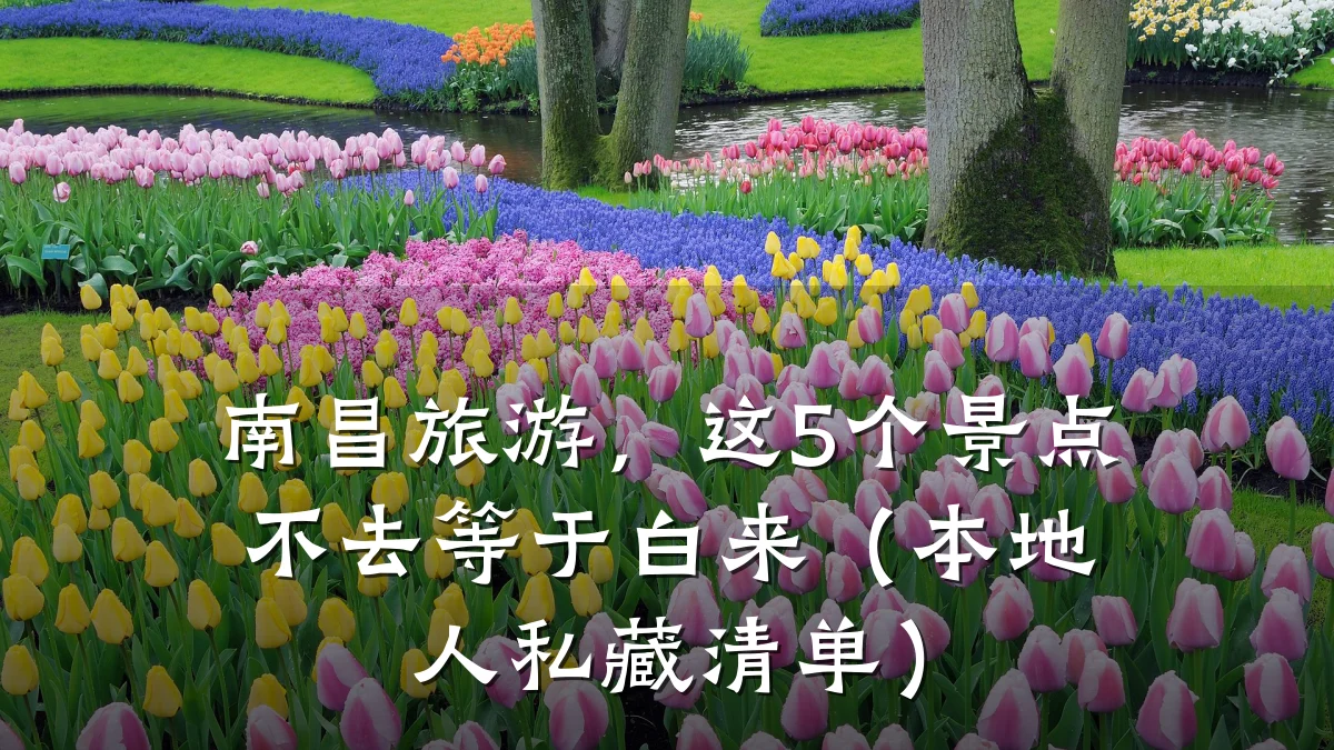 南昌旅游,这5个景点不去等于白来(本地人私藏清单)