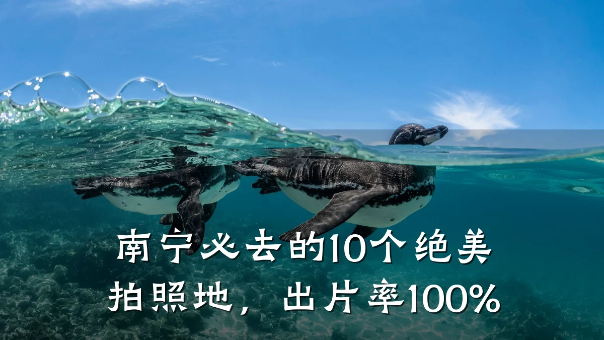 南宁必去的10个绝美拍照地,出片率100%