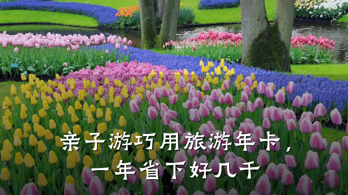亲子游巧用旅游年卡，一年省下好几千