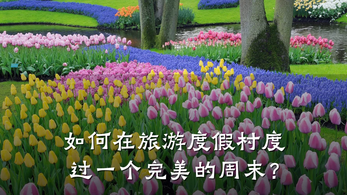 如何在旅游度假村度过一个完美的周末？