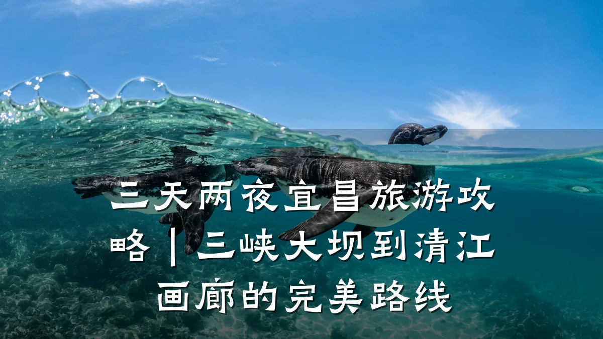 三天两夜宜昌旅游攻略｜三峡大坝到清江画廊的完美路线