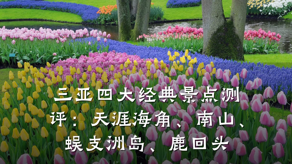 三亚四大经典景点测评：天涯海角、南山、蜈支洲岛、鹿回头