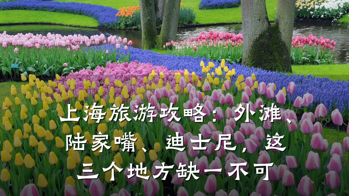 上海旅游攻略:外滩、陆家嘴、迪士尼,这三个地方缺一不可