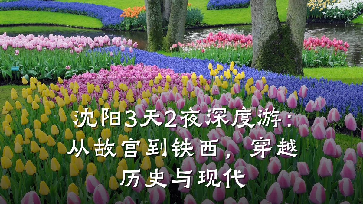 沈阳3天2夜深度游:从故宫到铁西,穿越历史与现代