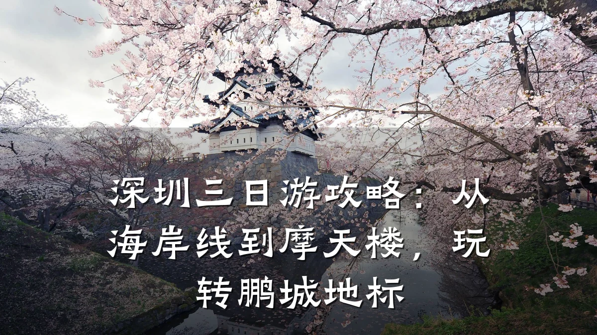 深圳三日游攻略:从海岸线到摩天楼,玩转鹏城地标