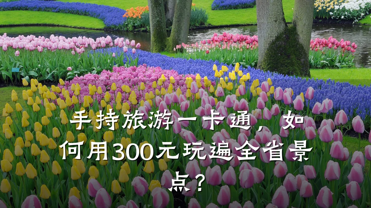 手持旅游一卡通，如何用300元玩遍全省景点？