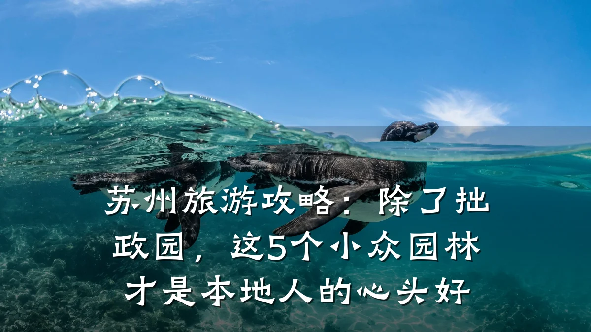 苏州旅游攻略：除了拙政园，这5个小众园林才是本地人的心头好