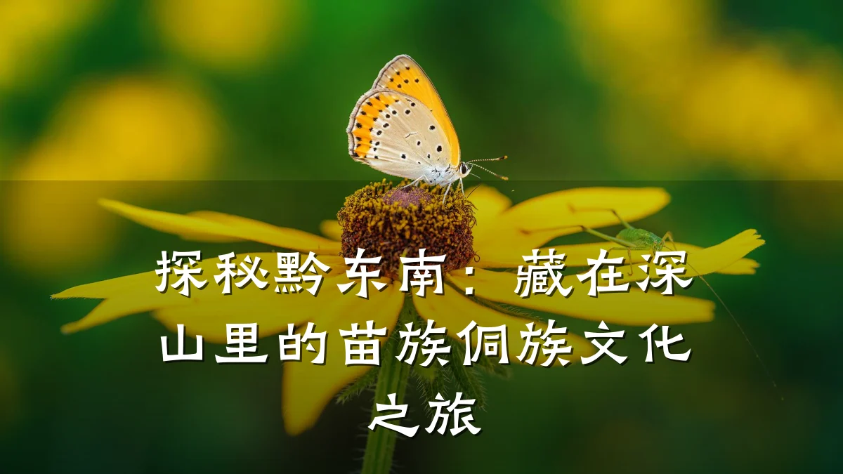 探秘黔东南:藏在深山里的苗族侗族文化之旅