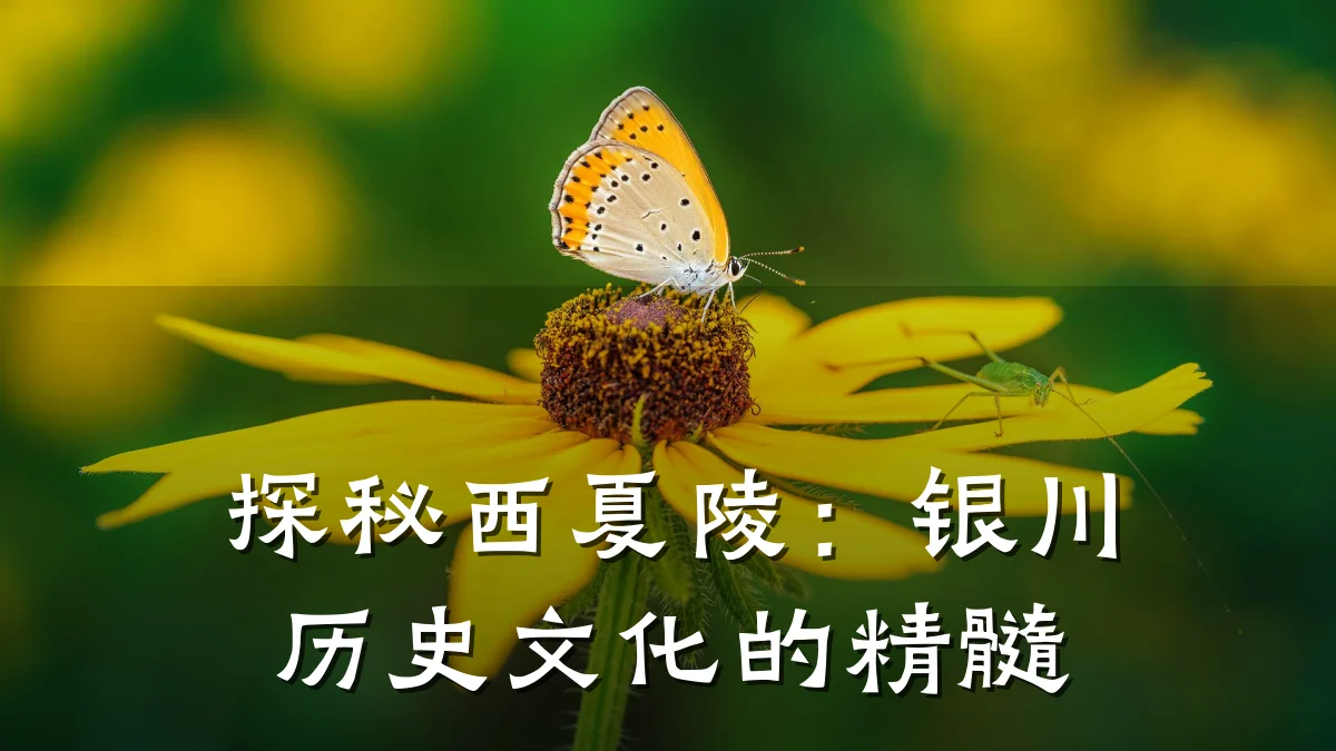 探秘西夏陵：银川历史文化的精髓