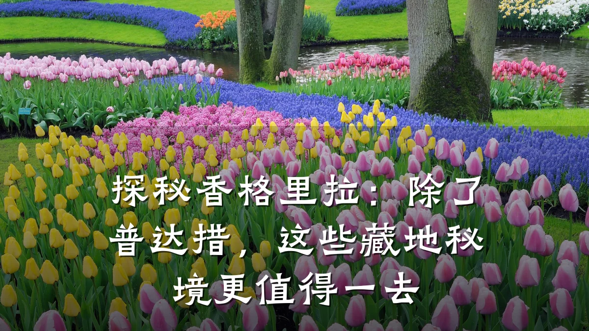 探秘香格里拉：除了普达措，这些藏地秘境更值得一去