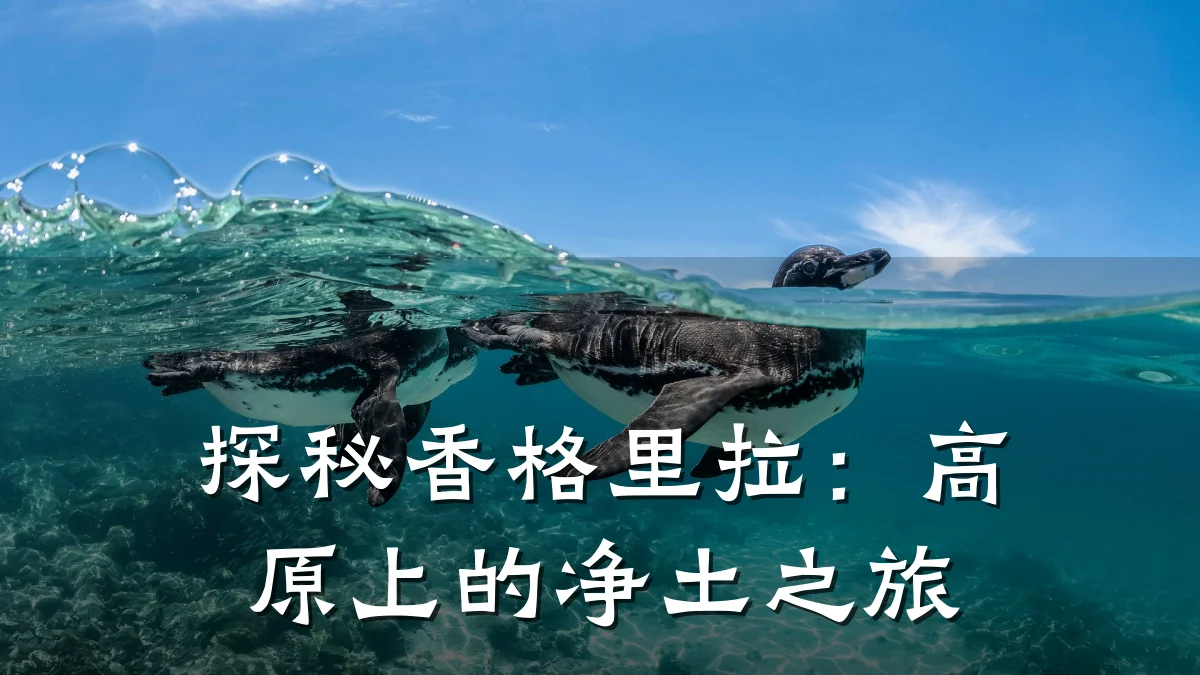 探秘香格里拉：高原上的净土之旅