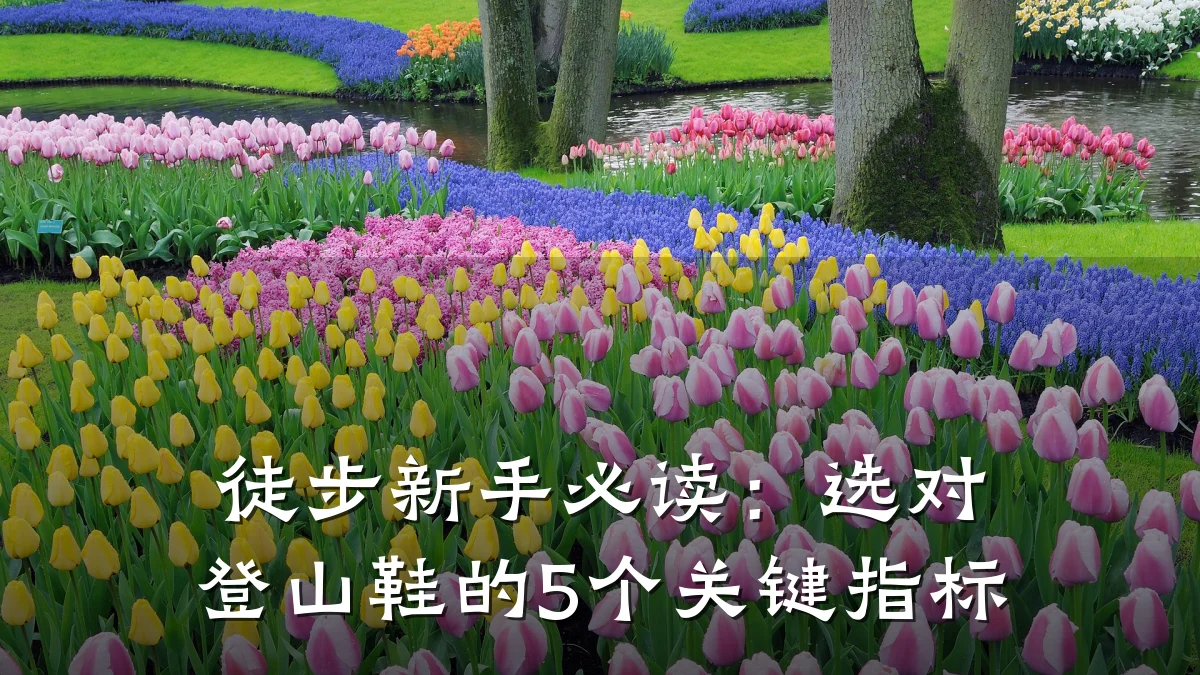 徒步新手必读：选对登山鞋的5个关键指标