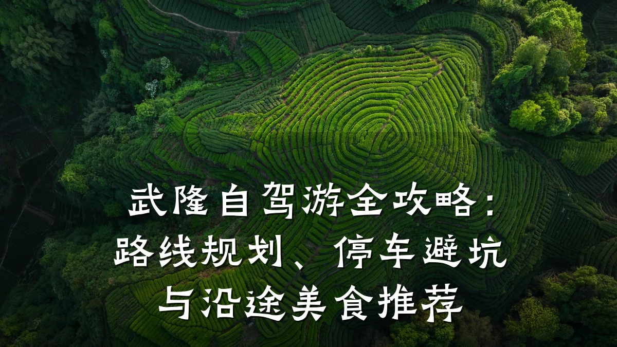 武隆自驾游全攻略：路线规划、停车避坑与沿途美食推荐