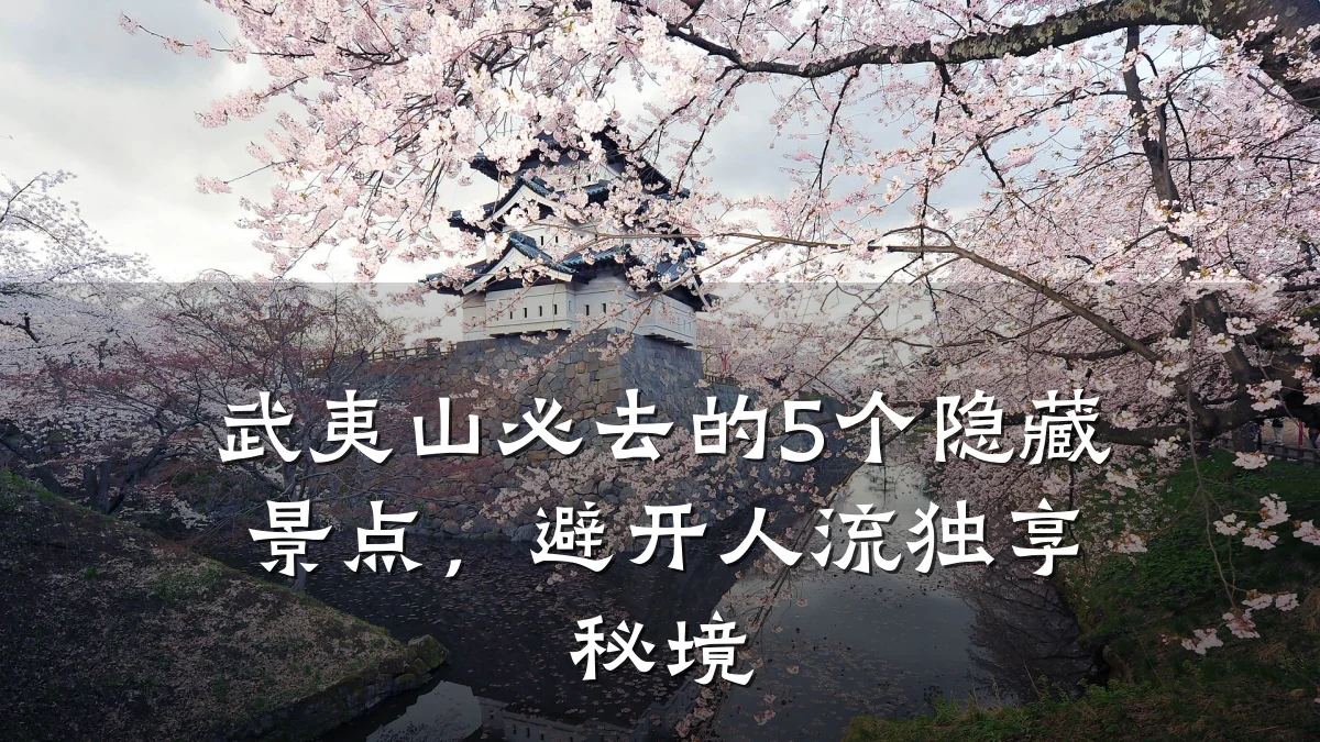 武夷山必去的5个隐藏景点，避开人流独享秘境